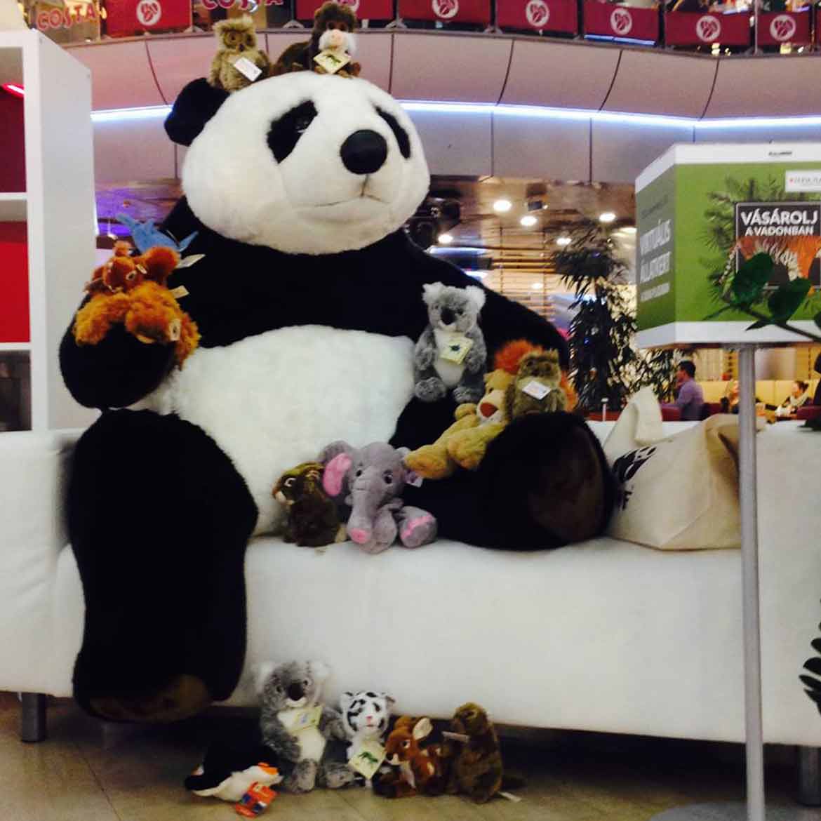 pandabolt